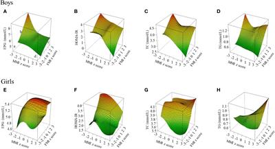 The associations of muscle mass with glucose and lipid metabolism are influenced by body fat accumulation in children and adolescents